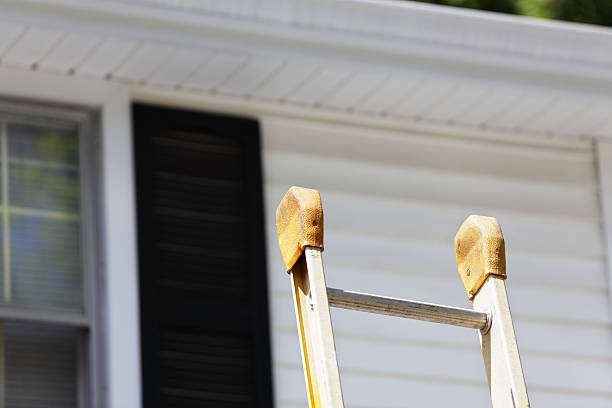 Affordable Siding Repair and Maintenance Services in Mammoth Spring, AR